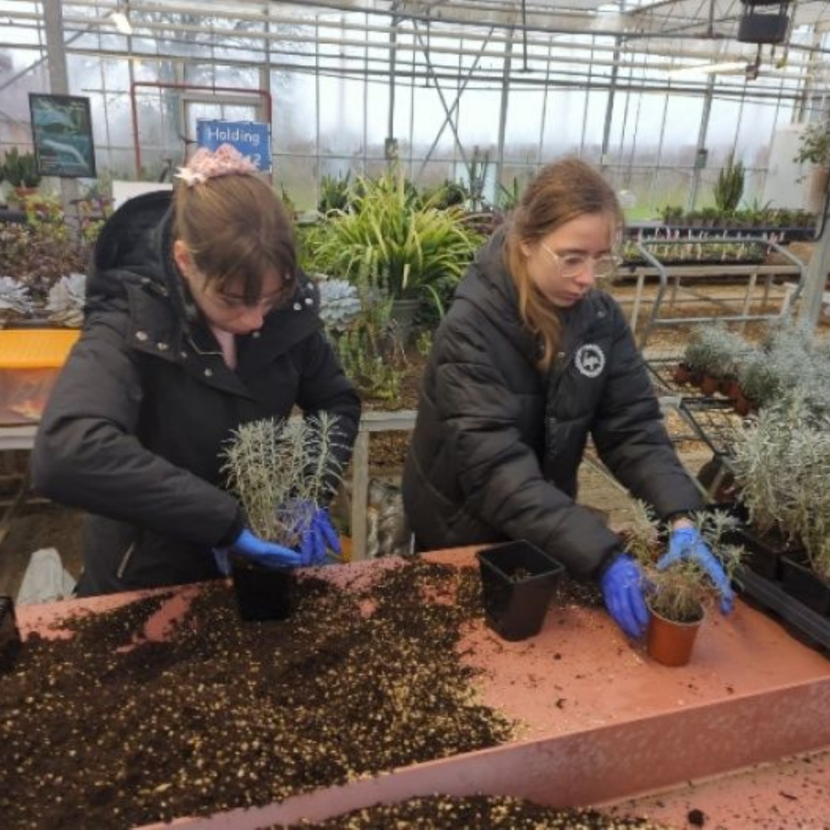 The castle school visit to sparsholt
